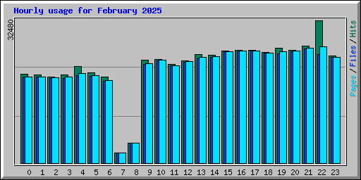 Hourly usage for February 2025