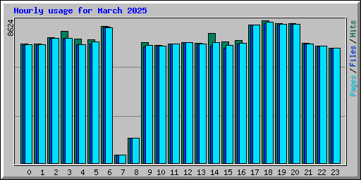 Hourly usage for March 2025