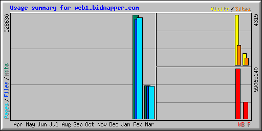 Usage summary for web1.bidnapper.com